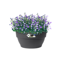 vibia campana schale 27cm anthracite